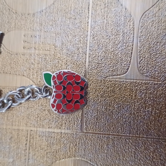 Coach Keychain - Picture 5 of 9